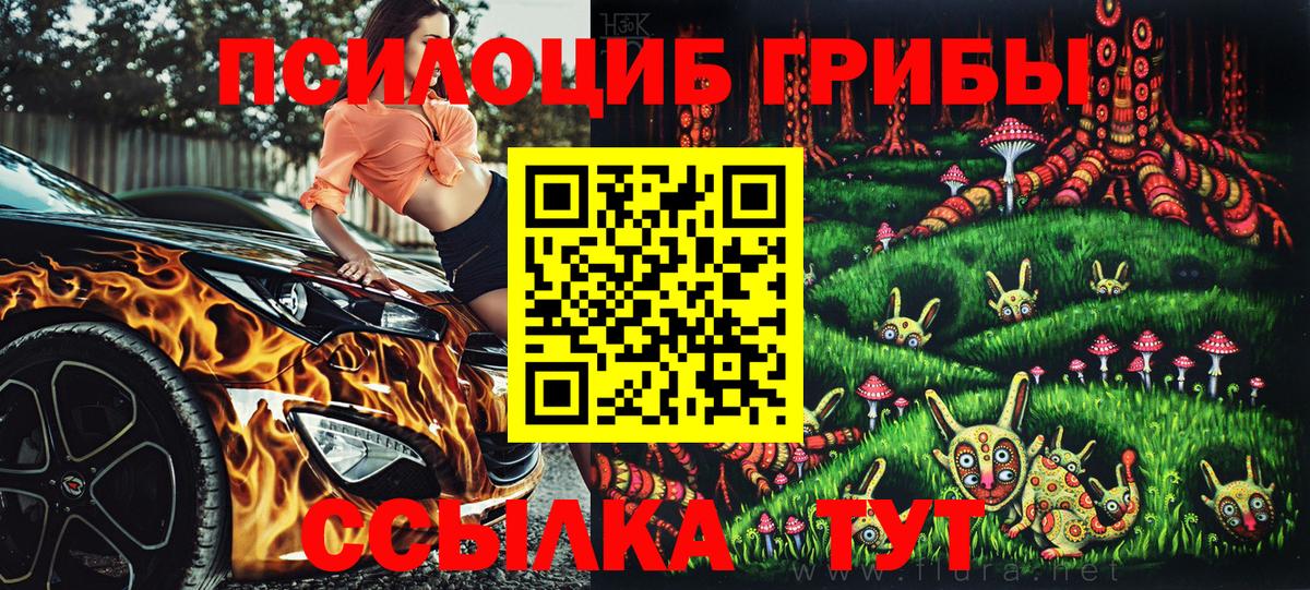 Галлюциногенные грибы прущие грибы Азнакаево
