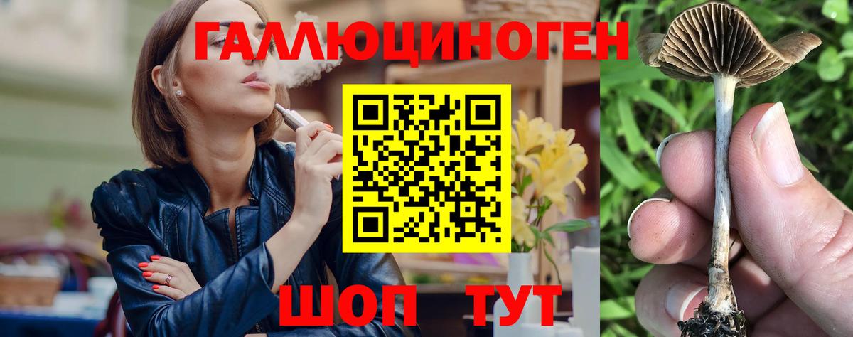 Галлюциногенные грибы мицелий  Вход с VPN  Азнакаево  Галлюциногенные грибы прущие грибы 